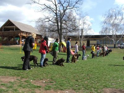 Klõpsa pildi vaatamiseks täissuuruses