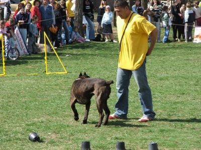 A teljes méretű képhez kattints ide