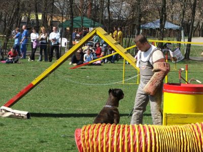 Kliknite da vidite sliku u punoj veličini