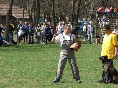 Натисніть, щоб побачити повний розмір