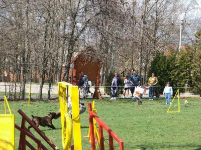 Натисніть, щоб побачити повний розмір