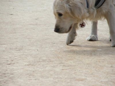 A teljes méretű képhez kattints ide