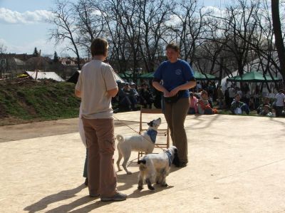 A teljes méretű képhez kattints ide