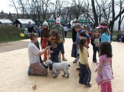 A teljes méretű képhez kattints ide