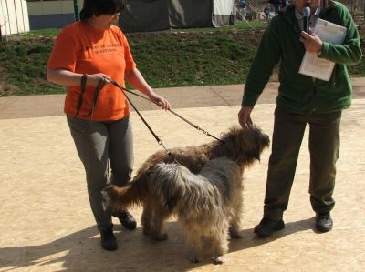 Κάντε κλικ για να δείτε την εικόνα σε πλήρες μέγεθος