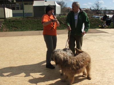 A teljes méretű képhez kattints ide