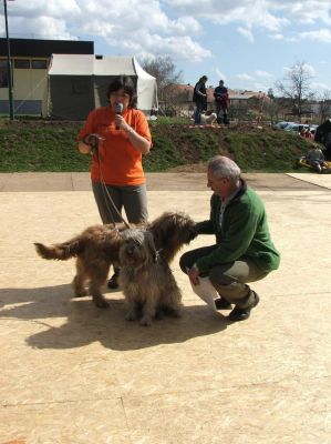 A teljes méretű képhez kattints ide