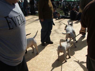 Κάντε κλικ για να δείτε την εικόνα σε πλήρες μέγεθος