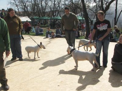 A teljes méretű képhez kattints ide