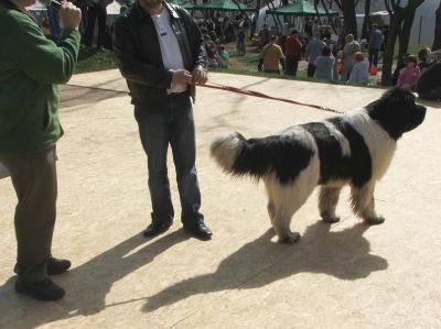 A teljes méretű képhez kattints ide