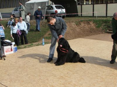 A teljes méretű képhez kattints ide