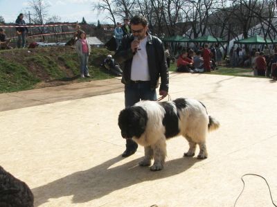 Kliknite pre zobrazenie veľkého obrázka