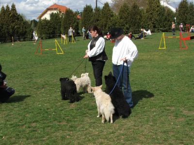 Kliknite da vidite sliku u punoj veličini