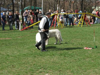 A teljes méretű képhez kattints ide