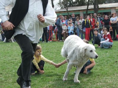 A teljes méretű képhez kattints ide