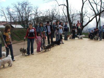 A teljes méretű képhez kattints ide