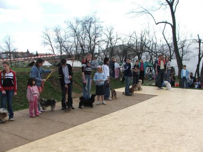 A teljes méretű képhez kattints ide