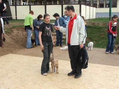 Kliknite da vidite sliku u punoj veličini