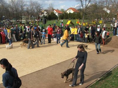 Klõpsa pildi vaatamiseks täissuuruses