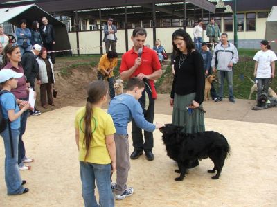 A teljes méretű képhez kattints ide