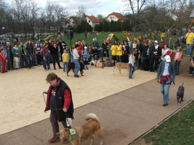 Kliknite da vidite sliku u punoj veličini