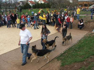 A teljes méretű képhez kattints ide