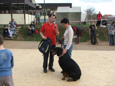 Pulsa para ver la imagen a tamaño completo