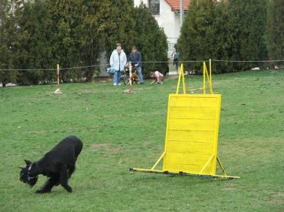 Kliknite da vidite sliku u punoj veličini