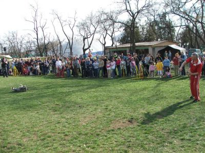 Tam boy resmi görebilmek için tıklayın