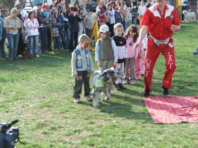 Tam boy resmi görebilmek için tıklayın