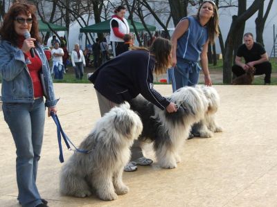 A teljes méretű képhez kattints ide