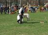 Fájlnév=dscf5834.jpg
Fájlméret=189KiB
Méretek=795x596
Hozzáadás dátuma=2012 Szeptember 25. dscf5834.jpg
