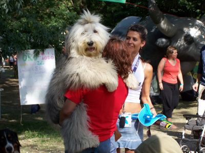 A teljes méretű képhez kattints ide