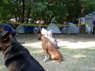 Κάντε κλικ για να δείτε την εικόνα σε πλήρες μέγεθος