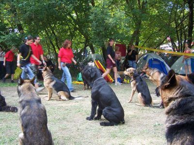 A teljes méretű képhez kattints ide