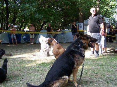 A teljes méretű képhez kattints ide