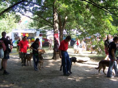 A teljes méretű képhez kattints ide