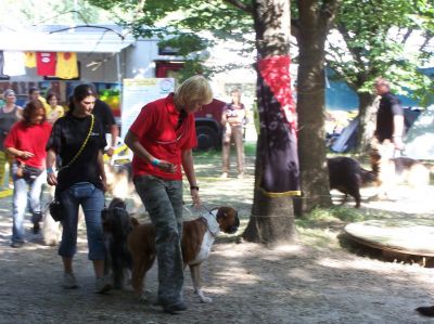 Kliknite da vidite sliku u punoj veličini