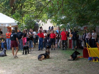 A teljes méretű képhez kattints ide