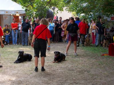 A teljes méretű képhez kattints ide