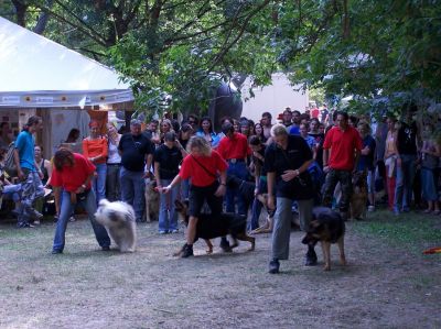 A teljes méretű képhez kattints ide