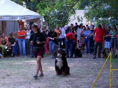 Kliknite da vidite sliku u punoj veličini