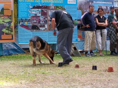 A teljes méretű képhez kattints ide