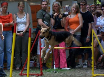 A teljes méretű képhez kattints ide