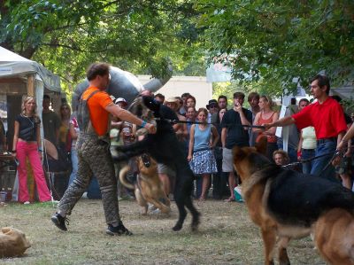 Κάντε κλικ για να δείτε την εικόνα σε πλήρες μέγεθος