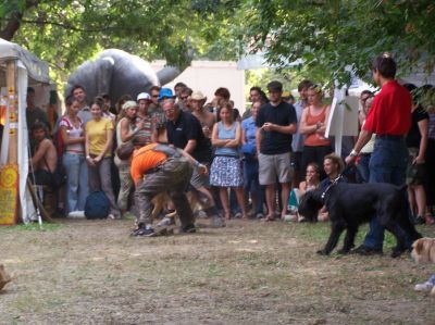 A teljes méretű képhez kattints ide