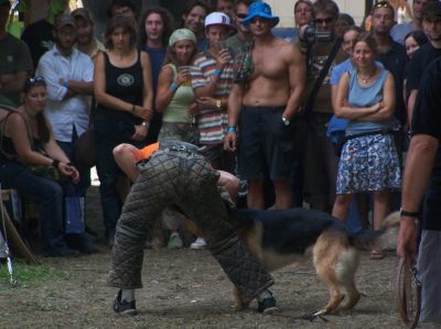 Pulsa para ver la imagen a tamaño completo