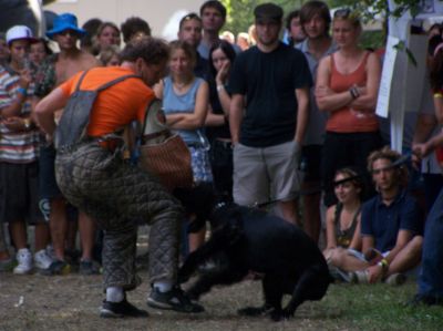 Натисніть, щоб побачити повний розмір