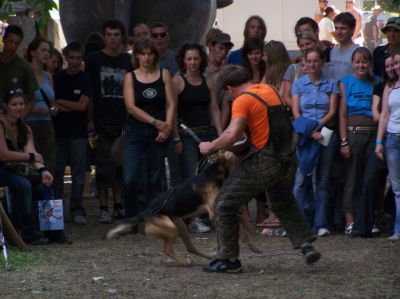 Κάντε κλικ για να δείτε την εικόνα σε πλήρες μέγεθος