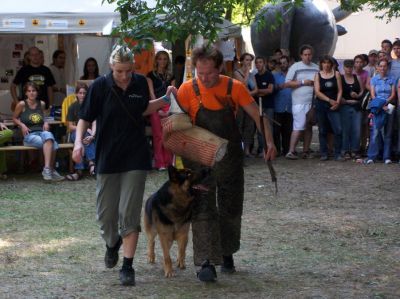 Klikkaa kuvaa nähdäksesi se täysikokoisena